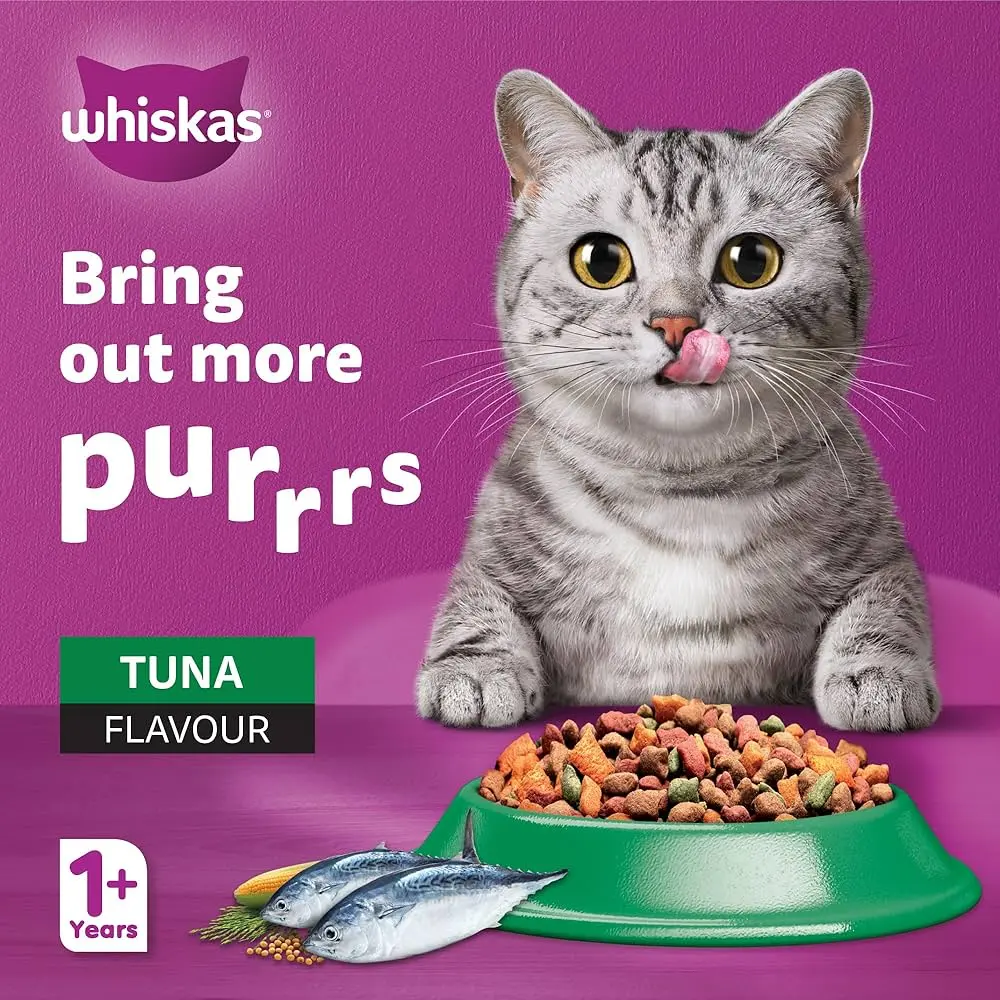 Cat Food 1