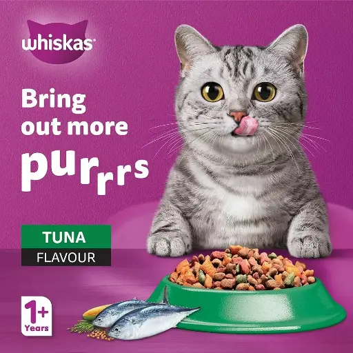 Cat Food 1